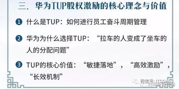 IT高管会 华为TUP股权激励方案实战班