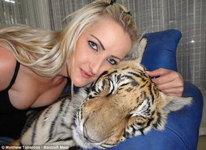 南非夫妇饲养老虎做宠物 每天需吃5公斤肉 