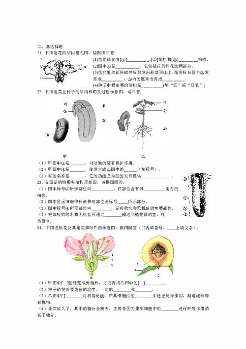 被子植物生活史图解 搜狗图片搜索