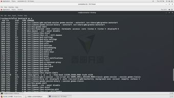 linux终端和控制台区别(linux复制粘贴命令快捷键)