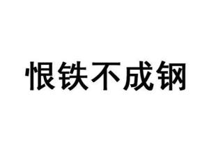 《恨铁不成钢》的典故,恨铁不成钢——成语的由来与内涵