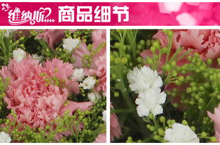 康乃馨 祝福鲜花 母亲节鲜花