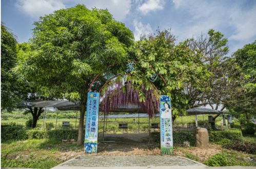 精彩实在又好玩 五一 小长假,三水这几处景点不容错过