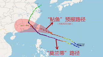  欧陆登录线路,轻松畅游欧陆平台 天富官网