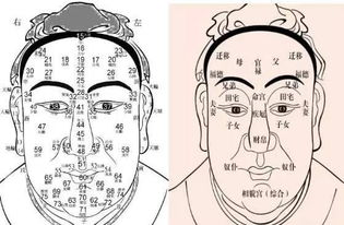 心性对面相的影响有多大,你一定不了解 