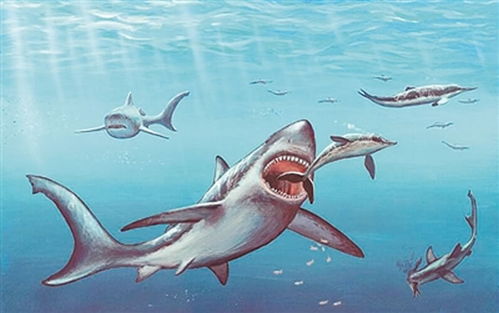 巨齿鲨(原声版),巨齿鲨:海底霸主的原声传说