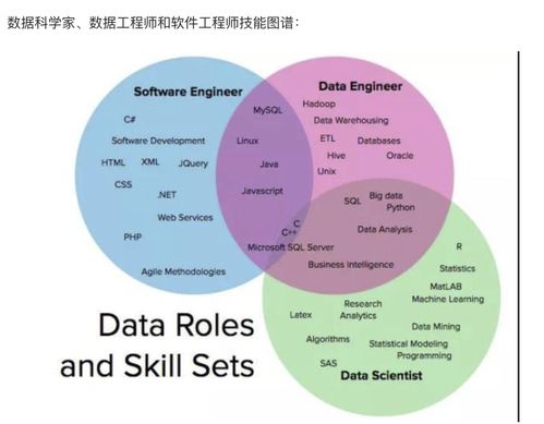 BI data analytics data science