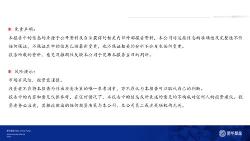  iq币是什么资产类型, IQ币是什么?理解这种类型的资产。 区块链