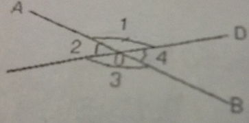 如图,直线AB CD 相交于点O 则图中哪两个角相等 请说明理由 