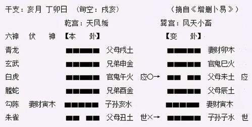 世爻和应爻是什么意思，世爻和应爻的解释及关系