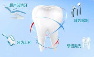 为什么要定期洗牙 洗牙前看一下,少受罪