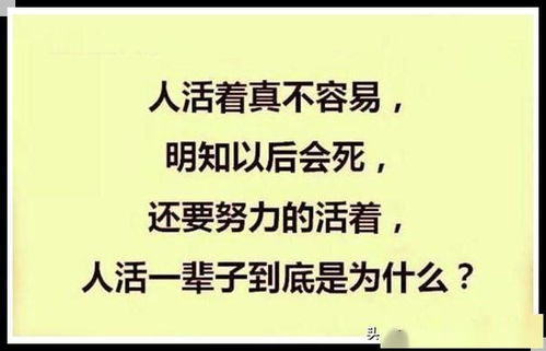 明知以后会死,还要努力的活着,人活一辈子到底是为什么 