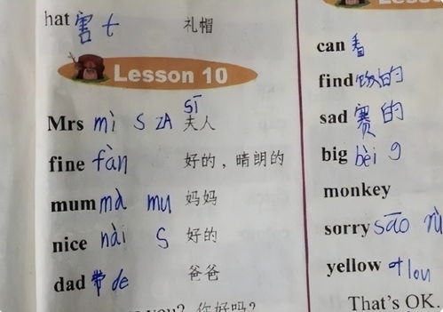 汉字的谐音字