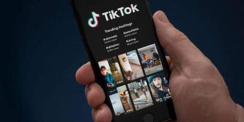 tiktok注册年龄_TikTok营销服务