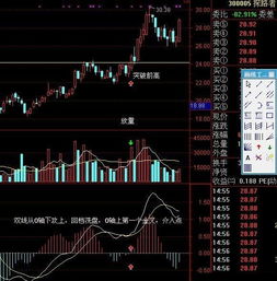 庄家按什么标准选股？庄家比较青睐哪种类型的股票？