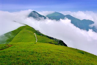 武功山攻略,一步一景，醉美之旅