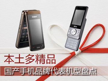 台湾本土手机品牌2002年,2002年：台湾本土