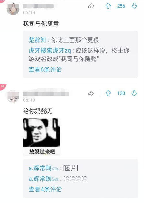 王者荣耀 网友奇葩取名 本命司马懿ID合集 不知道取什么名字的可以试试