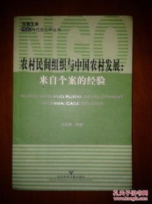 乡村治理与农村民间组织发展,农村治理和农村民间组织的发展(3)