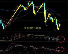 中发科技股票最近为什么跌那么多