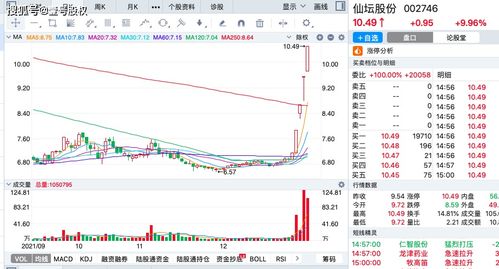 对于明天上市的中国中冶朋友们怎么看？能涨多少？涨幅会超过50%吗？