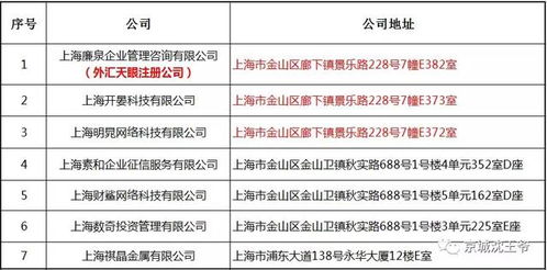 触目惊心 外汇天眼的幕后老板的庞大网络图