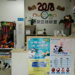 电话 地址 价格 营业时间 清河宠物医院团购 北京宠物 