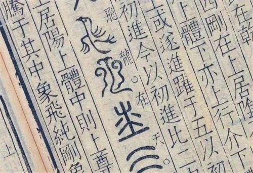 枋字意思解释词语,“抢榆枋？