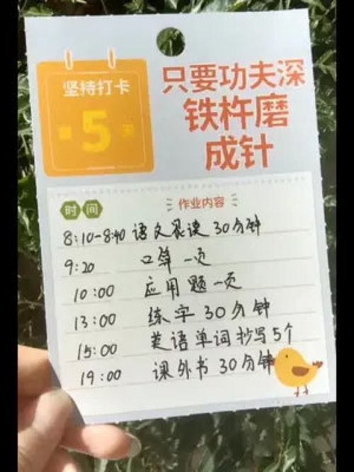 暑假给孩子安排了这套 ,孩子按照计划每天学习打卡就可以了 