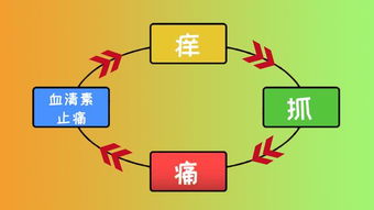 超边缘冷知识 为什么有时候抓痒会越抓越痒