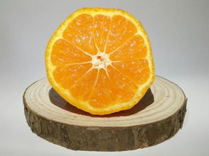橙子和橘子有什么区别（橘子和橙子的区别图片）