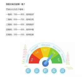 信用卡等级划分标准(100w信用卡的透支额度)