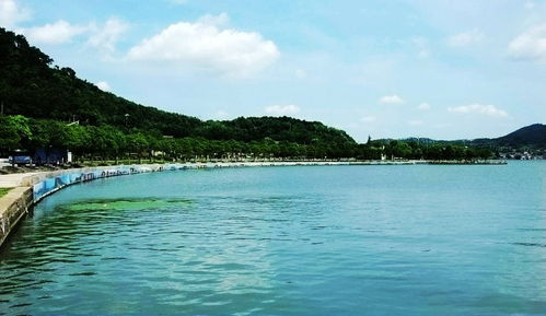 宁波东钱湖旅游学校,从宁波南站怎么去宁波东钱湖旅游学校