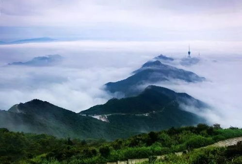 深圳梧桐山攻略,探访深圳梧桐山的绝美风景与独特魅力