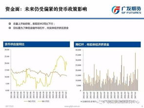 广发期货怎么看历史盈亏 广发期货怎么看历史盈亏 行情