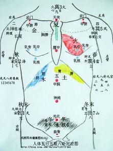 突发病与常见病的快速疗法