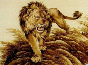 老虎与狮子哪个更厉害 伯乐一语道破天机 