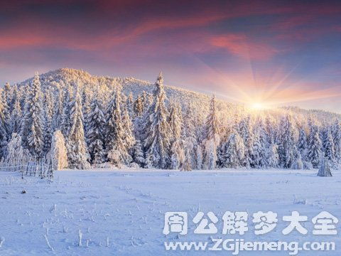 秋天梦见下雪 大鱼解梦网 