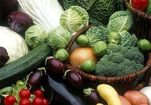 适合秋季种植的蔬菜,苏州地区秋冬季适合种植哪些蔬菜品种？