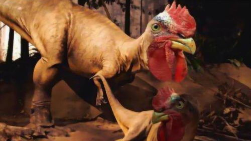 鸡的祖先竟然是恐龙 还是从基因看出来的 网友 还让不让吃鸡了 