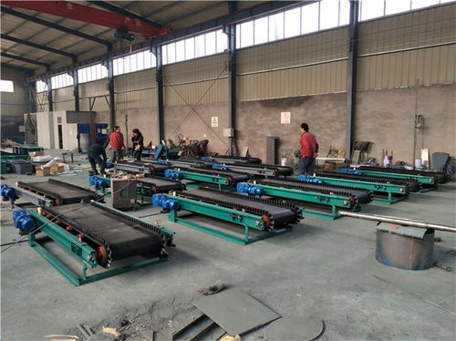 皮带秤生产厂家江都,徐州的电子皮带秤哪里的好