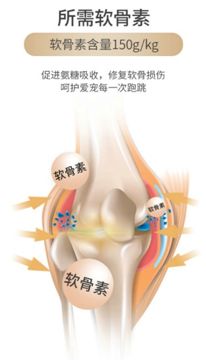  chz币值得长期投资么, 2、技术背景和潜力。 快讯