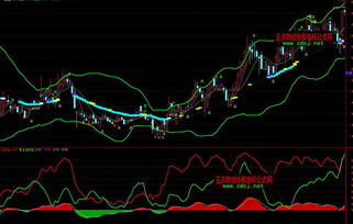 请教通达信交易通道及LEVEL2问题