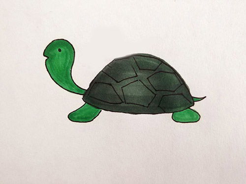 乌龟简笔画怎么画 龟百科 