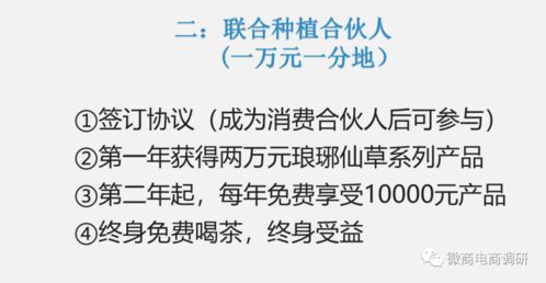 代用茶宣传可以提升免疫力,鸿信源代理制度该如何解读