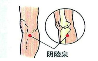 艾灸 还不抓紧三伏天艾灸养生 轻松去除一身病 