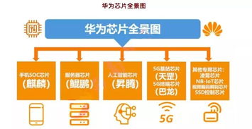 网上卖U收到黑钱概率大吗,丕賰孬乇赆賱賲爻賰爻賷18 网上卖U收到黑钱概率大吗,丕賰孬乇赆賱賲爻賰爻賷18 应用