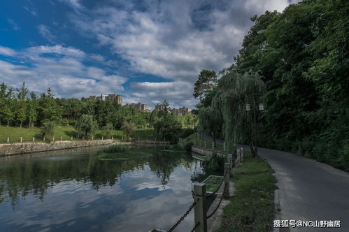 从污水站到城市公园,山清水秀的宜居环境,得益于可持续发展