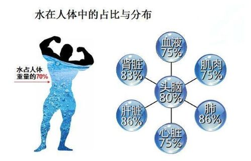 水质安全能够决定生命健康