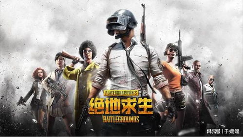 pubg是什么意思(射击类游戏绝地求生)